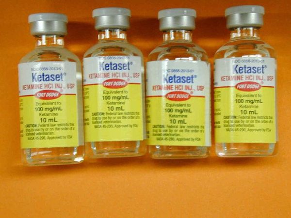 Ketaset 100 mg/ml